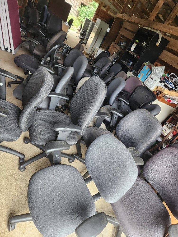 Lots Of Office Chairs