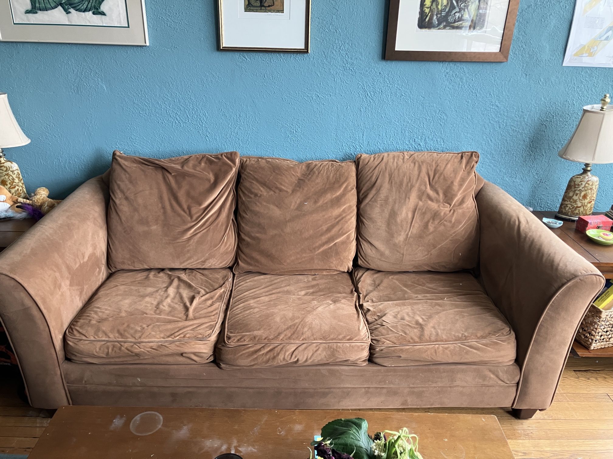 FREE sofa sleeper