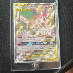 Gardevoir And Sylvion TT