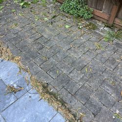 Pavers 