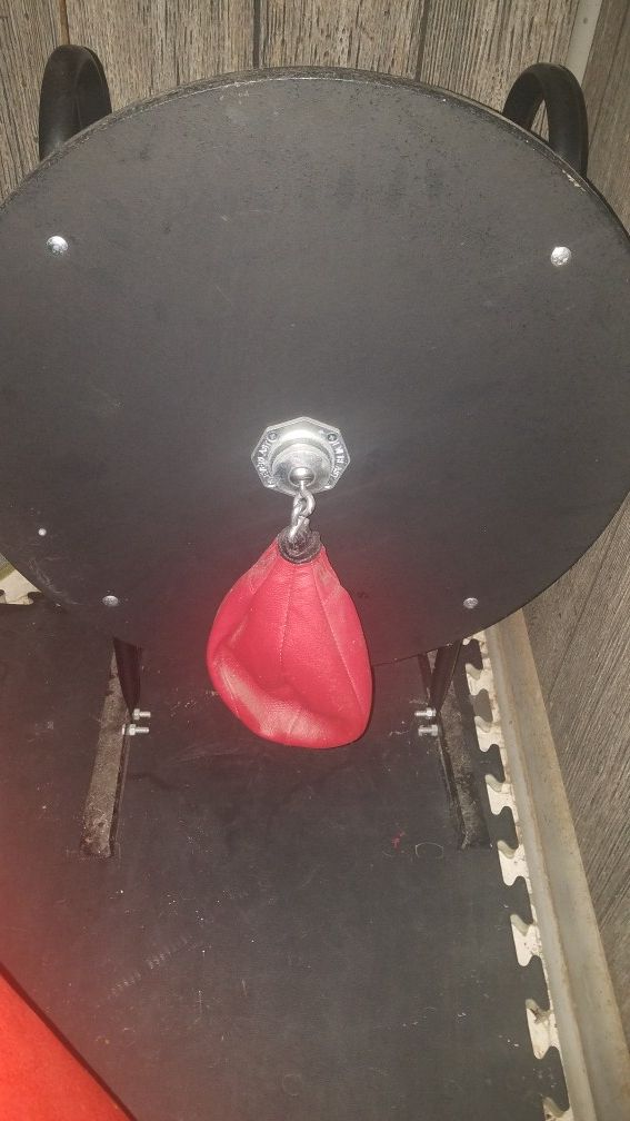 Speed bag