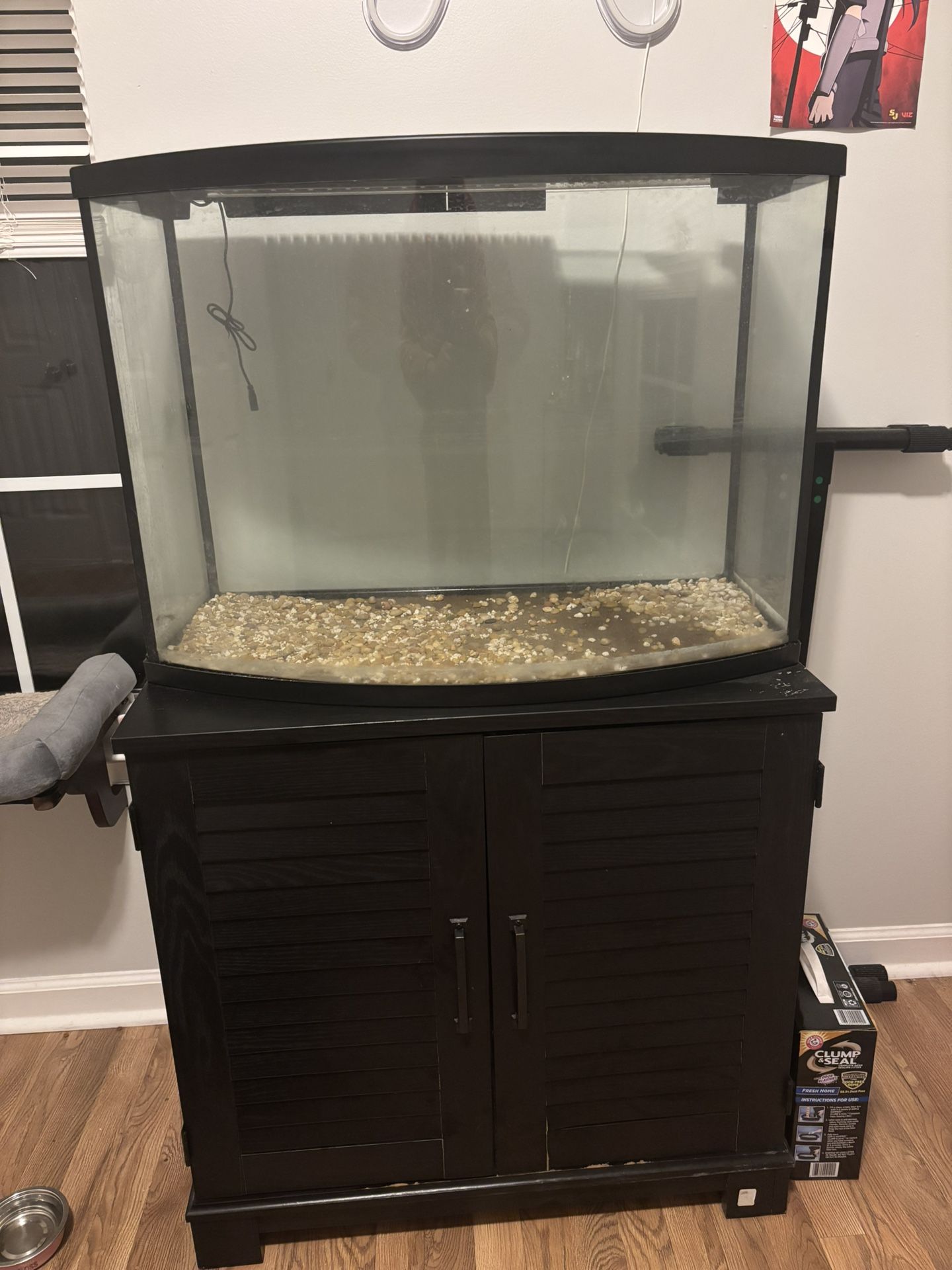 Fish Tank / Set Up