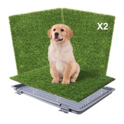 Dog Pee Pad / Dog Potty Training