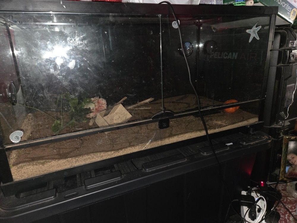 40 Gallon Terarium 