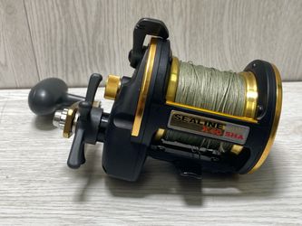 Daiwa Sealine X40SHA Conventional Saltwater Fishing Reel (A1G013918)