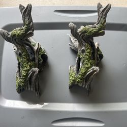 Aquarium Decor