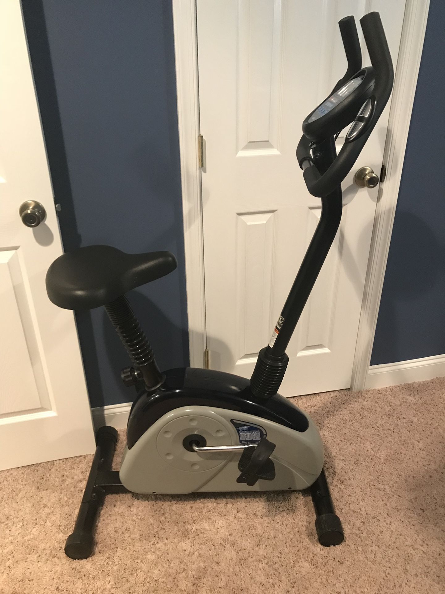 5200 magnetic bike