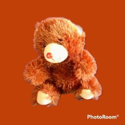 Plush Brown Teddy Bear 