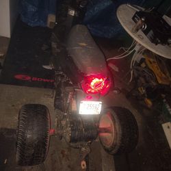 Have A Ice Bare Trick For Sale 