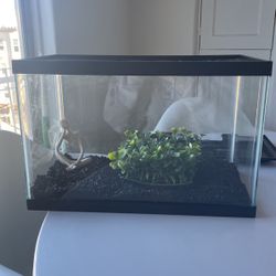 5 Gallon Fish Tank