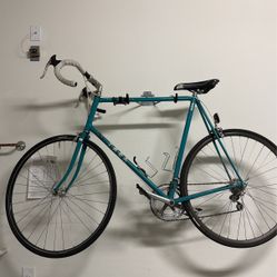 1982 Trek Pro Series Vintage Road Bike