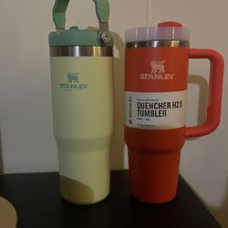 New Stanley Tumblers (2)