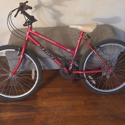 Magnum Mountain Bike Glacier Point 