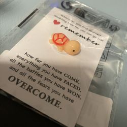 Orange Turtle Remember Overcome Inspirational Pocket Pal