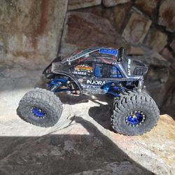 Scx24 Axial Injora Bug
