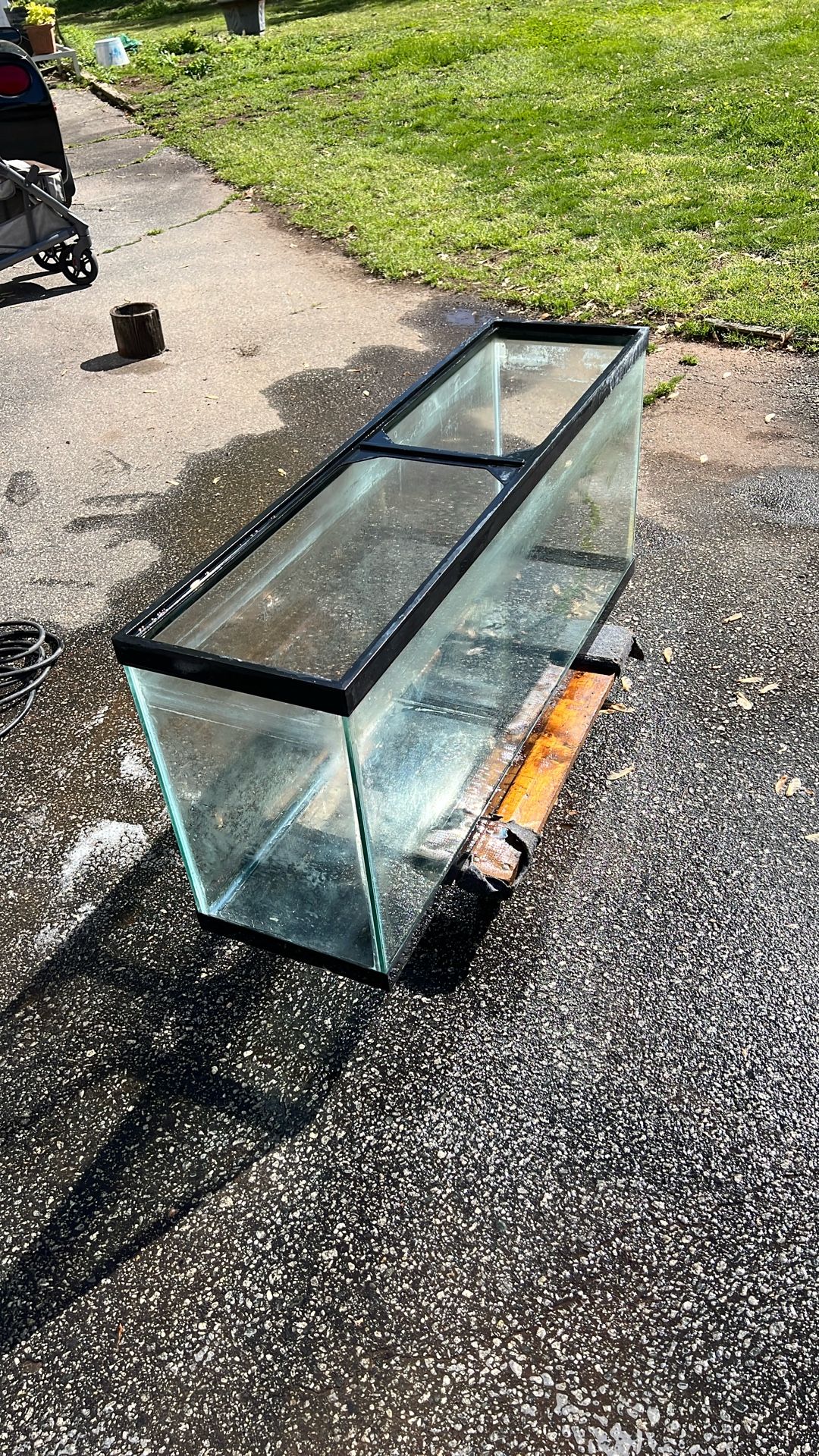 Fish Tank