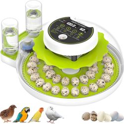 Egg Incubator for Hatching. It Was 89 for 35