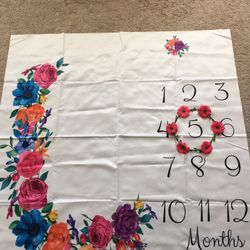 Baby Monthly Markers