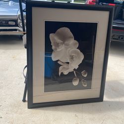 Beautiful Large Blk And White Flower Art