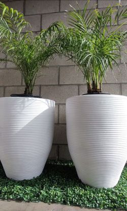 Terracotta 25 gallon planters 2 for $120 FREE DELIVERY IN SD