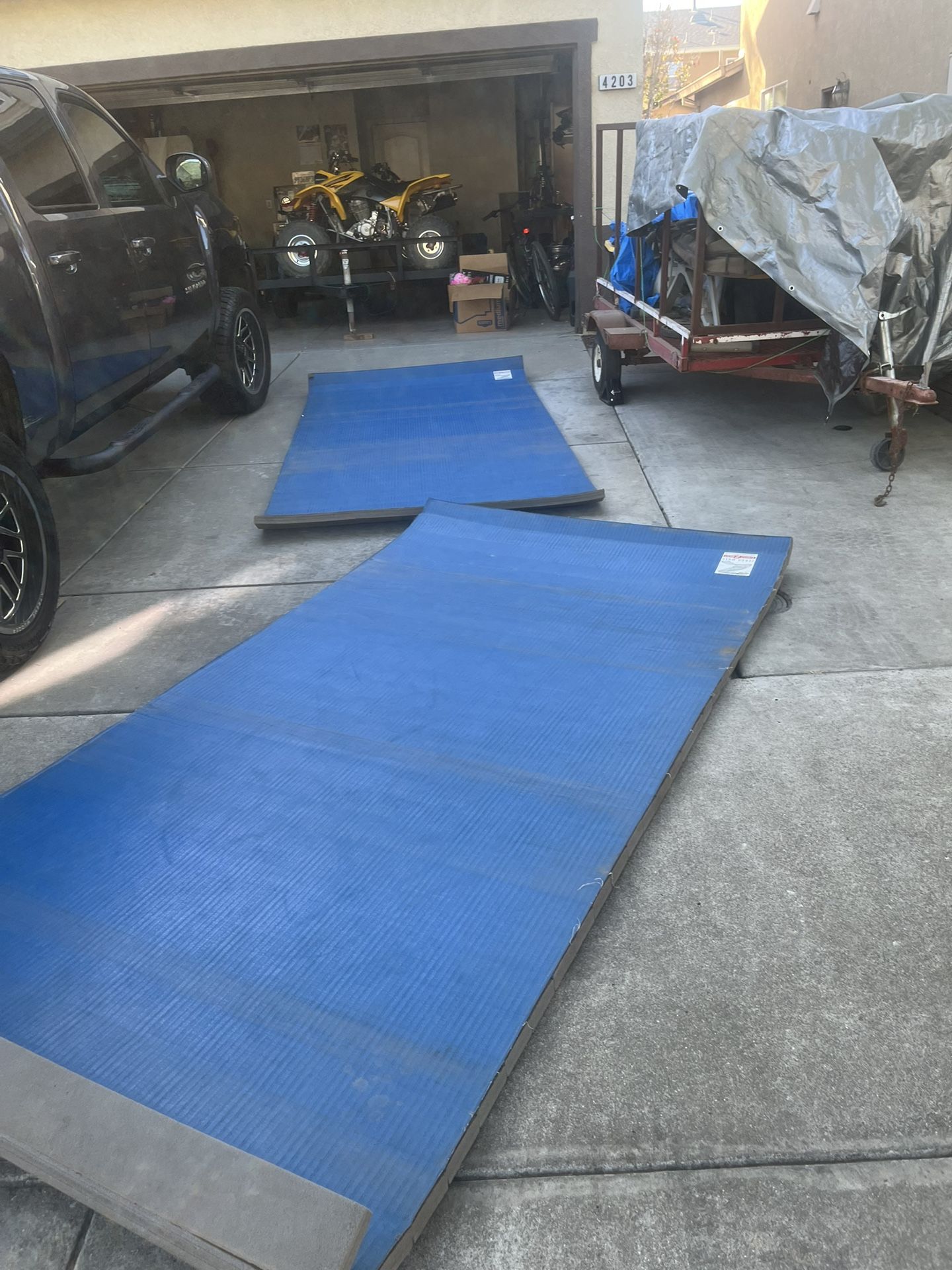 Zebra Training Mats