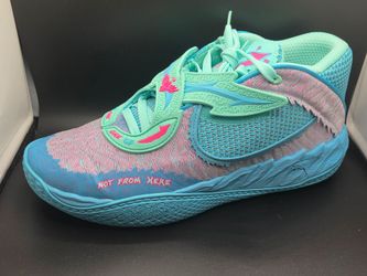 Lamelo rick an mortys