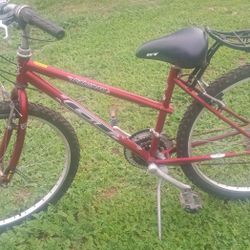 Gt Palomar Used Twice Keep  In Garage  16 Inch 26 X2.10 Tire 85 Dollars Firm