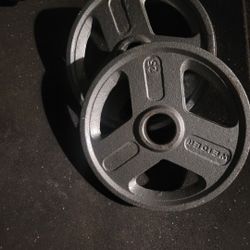 25lbs Olympic Weights