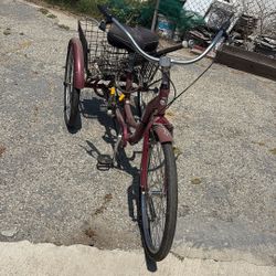 Scwhinn Trike
