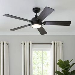 Ceiling fan with LED  Lighting