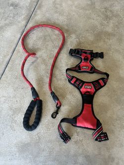 Dog Harness And Leash 