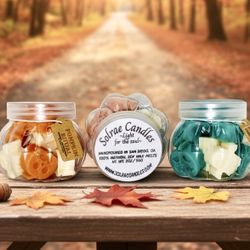 Solrae Candles 🕯️ “LIMITED EDITION” Halloween Wax melts