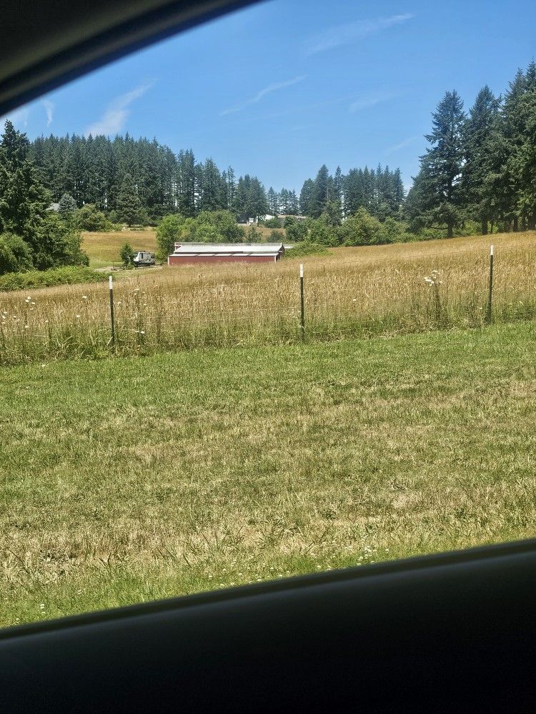2025 Grass Hay