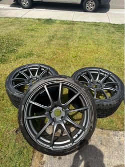 Weds Sports SA55m