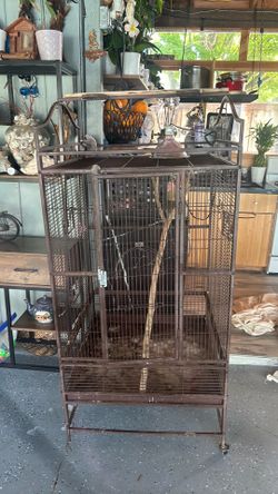 Bird cage