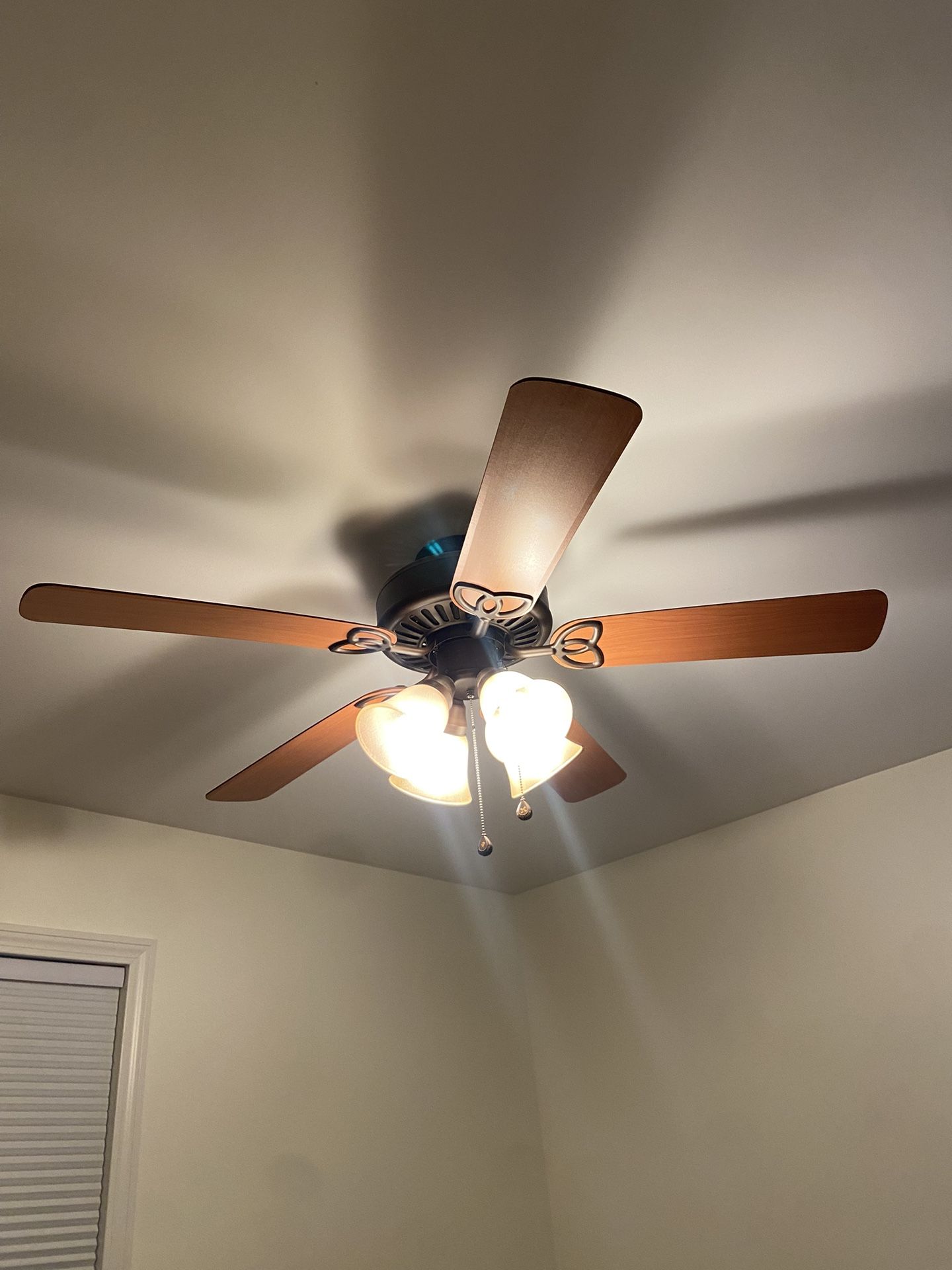 Ceiling Fan