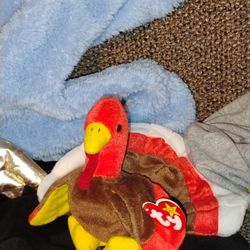6 Ty Beanie Babies.$200 For All