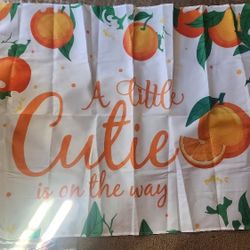 Baby Shower Banner