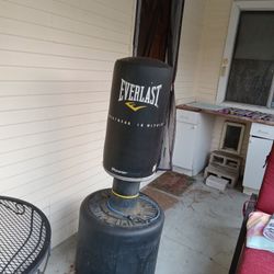 Punching Bag