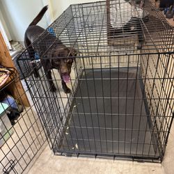 Large Dog Kennel