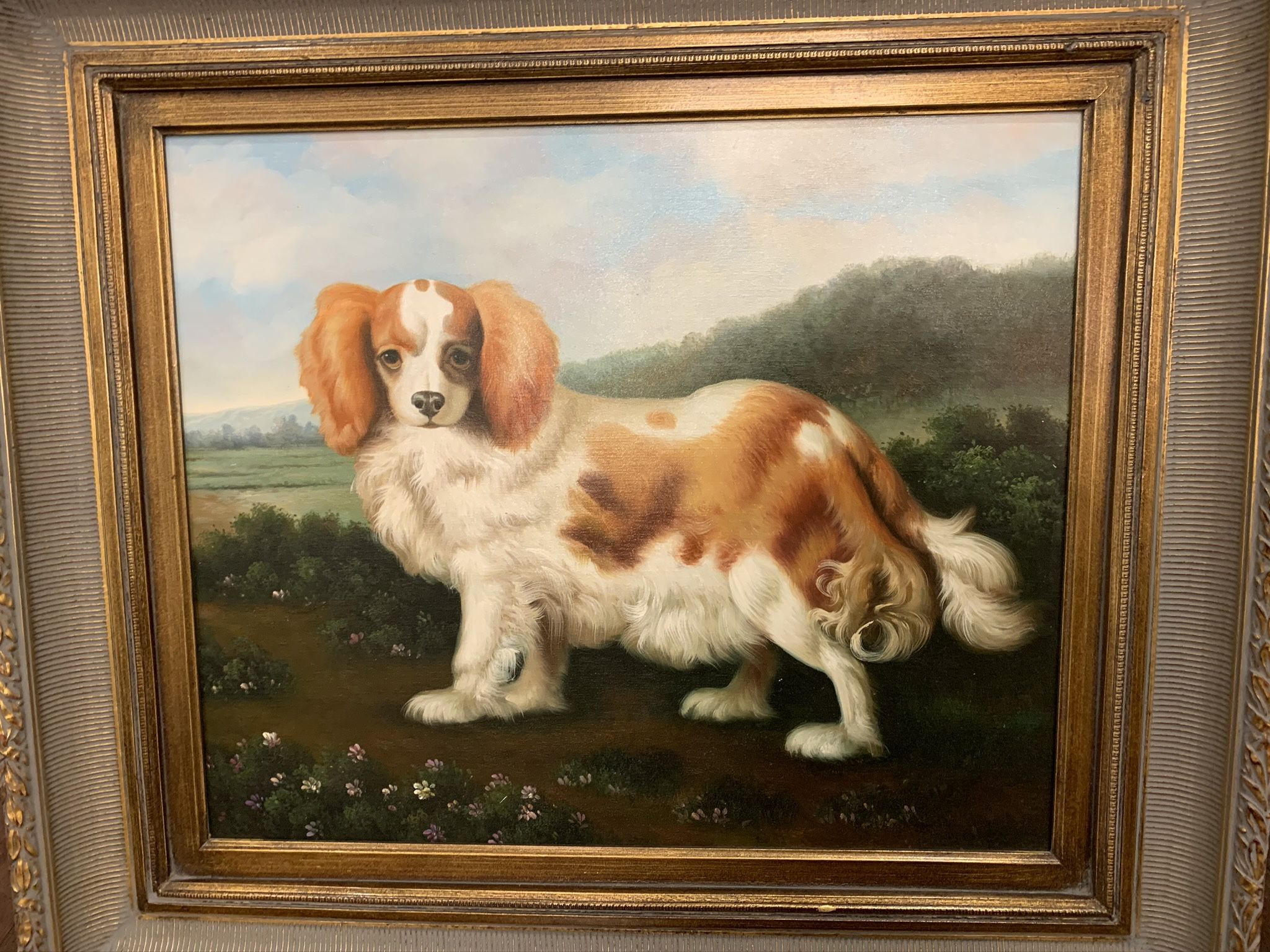 King Charles Spaniel