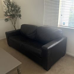 Leather Couches