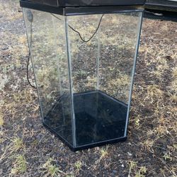 Glass Aquariums