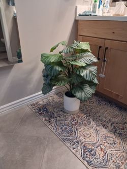 Artificial Calathea plant in ceramic pot