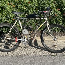 Schwinn 2 stroke 49cc motorbike 