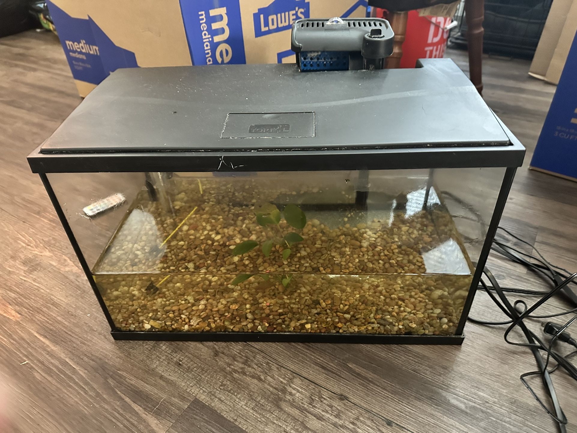 Fish Tank