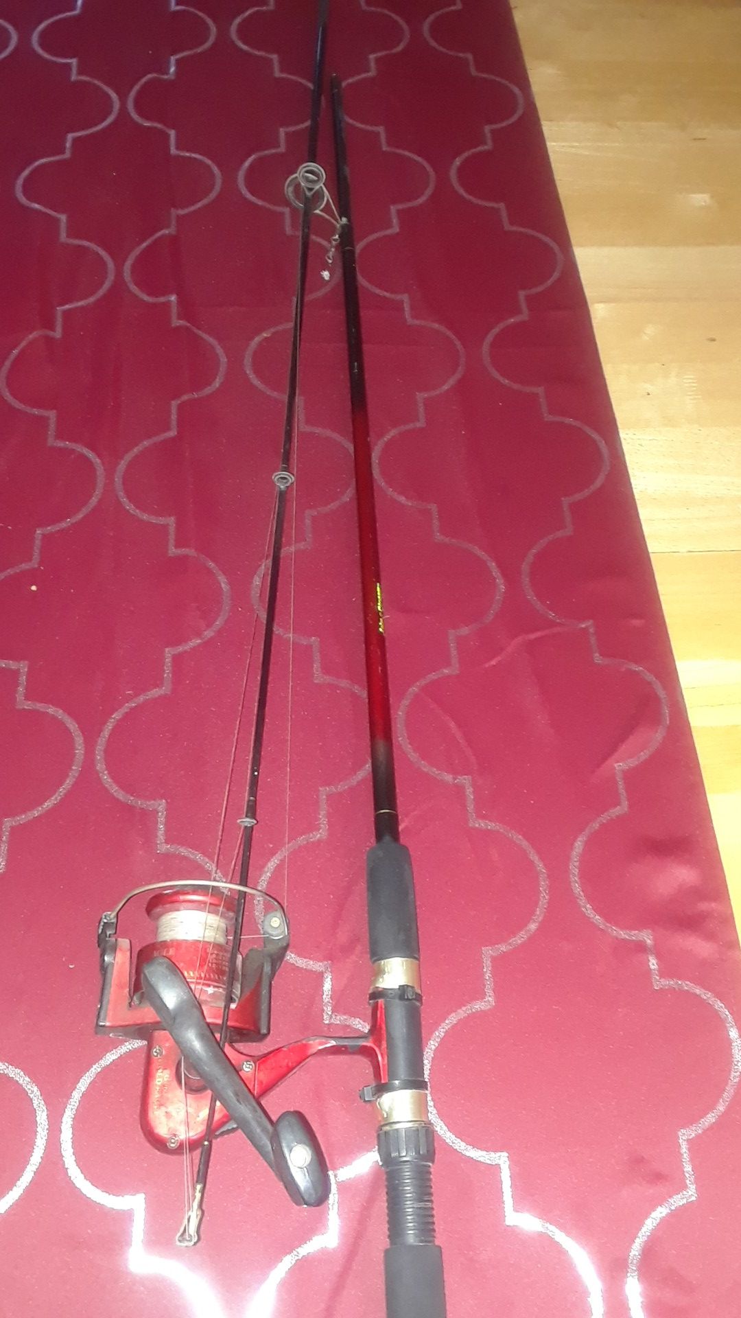 Lake and stream fishing pole