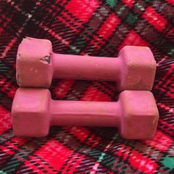 5 Lb Dumbbells 