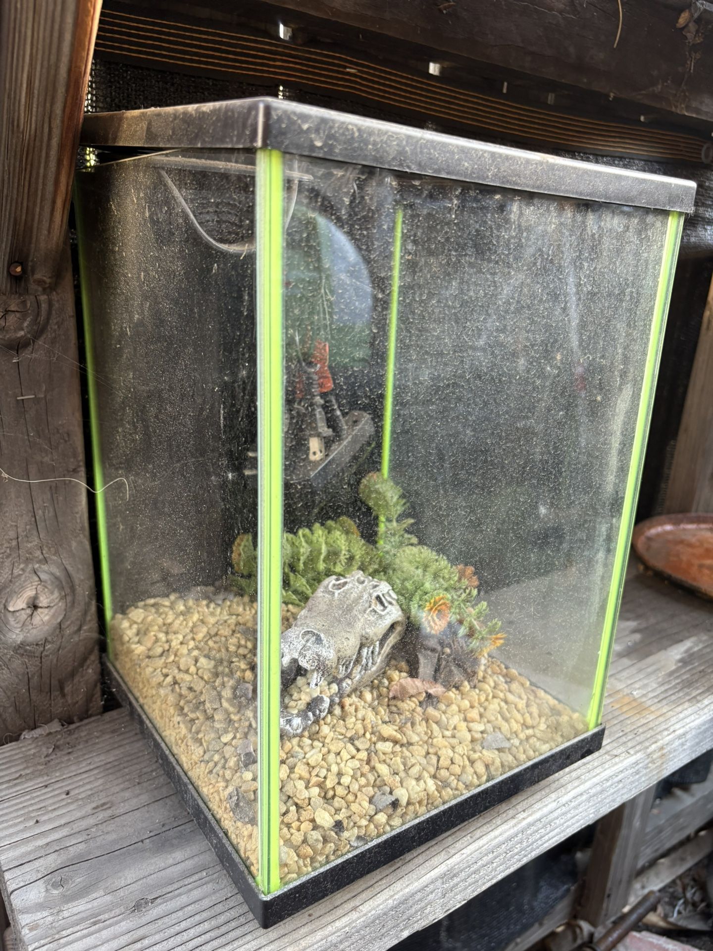 Fish Tank