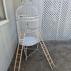 Beautiful Bird cage